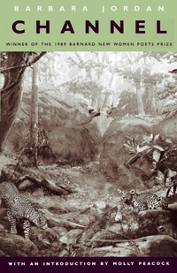 Enlarge image Cover: Channel - Beacon Press