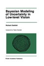 Cover: Bayesian Modeling of Uncertainty in Low-Level Vision - Springer