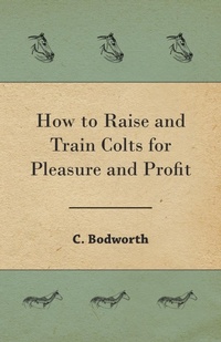 Abbildung von: How to Raise and Train Colts for Pleasure and Profit - READ COUNTRY BOOKS