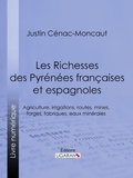Cover: Les Richesses des Pyr&eacute;n&eacute;es fran&ccedil;aises et espagnoles - Ligaran
