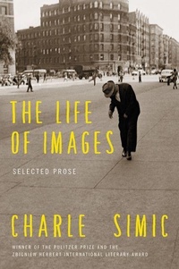 Enlarge image Cover: The Life of Images - Ecco Press