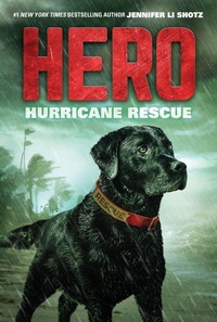 Enlarge image Cover: Hero: Hurricane Rescue - HarperCollins