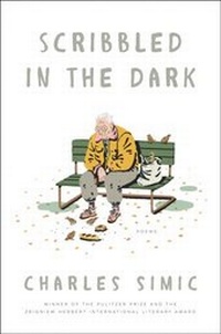 Enlarge image Cover: Scribbled in the Dark - HarperCollins
