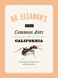 Enlarge image Cover: Dr. Eleanor's Book of Common Ants of California - University of Chicago Press