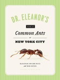 Cover: Dr. Eleanor's Book of Common Ants of New York City - University of Chicago Press