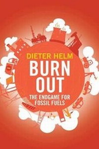 Enlarge image Cover: Burn Out - Yale University Press