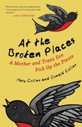 Cover: At the Broken Places - Beacon Press