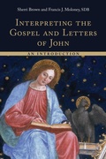Cover: Interpreting the Gospel and Letters of John - William B Eerdmans Publishing Co