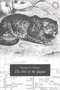 Enlarge image Cover: The Fire of the Jaguar - Hau
