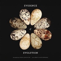 Enlarge image Cover: Evidence of Evolution - Abrams