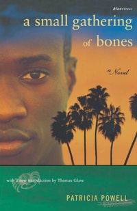 Abbildung von: A Small Gathering of Bones - Beacon Press