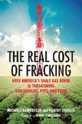 Cover: The Real Cost of Fracking - Beacon Press