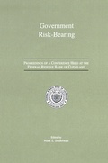Bild: Government Risk-Bearing - Springer