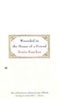 Cover: Wounded in the House of a Friend - Beacon Press