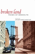 Cover: Broken Land - New York University Press