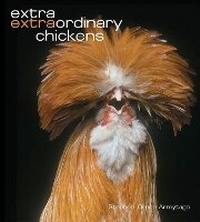 Abbildung von: Extra Extraordinary Chickens - Abrams