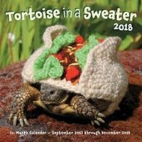 Abbildung von: Tortoise in a Sweater 2018 - Rock Point