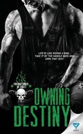 Cover: Owning Destiny - Limitless Publishing, LLC