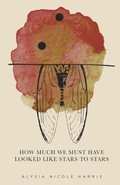 Cover: How Much We Must Have Looked Like Stars To Stars - Finishing Line Press