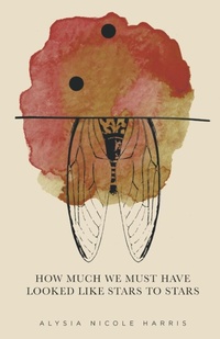 Enlarge image Cover: How Much We Must Have Looked Like Stars To Stars - Finishing Line Press