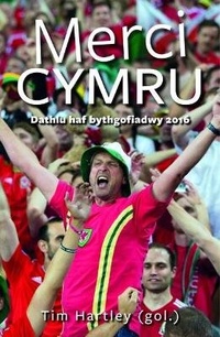 Abbildung von: Merci Cymru - Dathlu Haf Bythgofiadwy 2016 - Y Lolfa