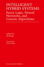 Cover: Intelligent Hybrid Systems - Springer