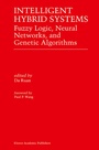Cover: Intelligent Hybrid Systems - Springer