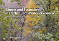 Abbildung von: Bäume und Sträucher in Herbst und Winter erkennen - Schweizerbart'sche, E.