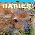 Cover: Elk Babies! - Farcountry Press