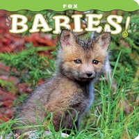Enlarge image Cover: Fox Babies! - Farcountry Press