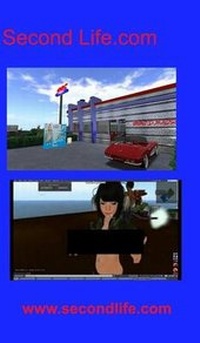 Enlarge image Cover: Secondlife.com - Blurb