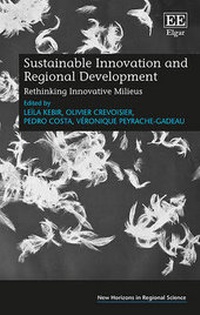 Enlarge image Cover: Sustainable Innovation and Regional Development - Edward Elgar Publishing