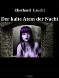 Cover: Der kalte Atem der Nacht - vss-verlag