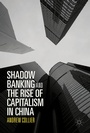 Cover: Shadow Banking and the Rise of Capitalism in China - Springer