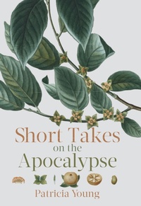 Enlarge image Cover: Short Takes on the Apocalypse - Biblioasis