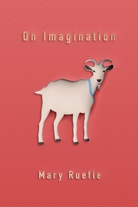 Enlarge image Cover: On Imagination - Sarabande Books, Incorporated