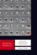 Cover: Judging Addicts - New York University Press