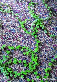 Enlarge image Cover: Abbas Akhavan - Skira