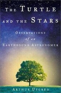 Enlarge image Cover: The Turtle and the Stars - Palgrave Macmillan