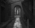 Cover: Sanctuary - Abrams