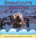 Cover: Seashore Babies - Walker Childrens