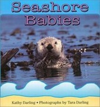 Enlarge image Cover: Seashore Babies - Walker Childrens