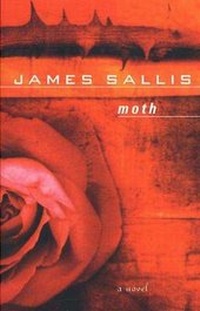 Enlarge image Cover: Moth - Bloomsbury Publishing PLC