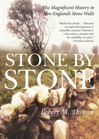 Abbildung von: Stone by Stone - Bloomsbury USA