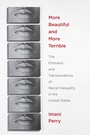 Cover: More Beautiful and More Terrible - New York University Press