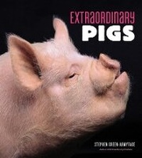 Abbildung von: Extraordinary Pigs - Abrams