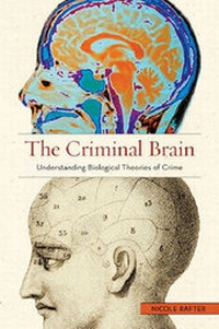 Enlarge image Cover: The Criminal Brain - New York University Press