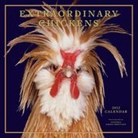 Abbildung von: Extraordinary Chickens 2012 Calendar - Abrams