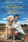 Cover: The Summer of Riley - HarperCollins
