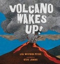 Cover: Volcano Wakes Up! - Henry Holt & Company